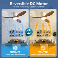 3 Lapátos DC Mennyezeti Ventilátor Lámpával – Alacsony Mennyezethez