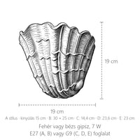 Kagyló alakú gipsz fali lámpa méretei: A stílus 19 × 19 cm