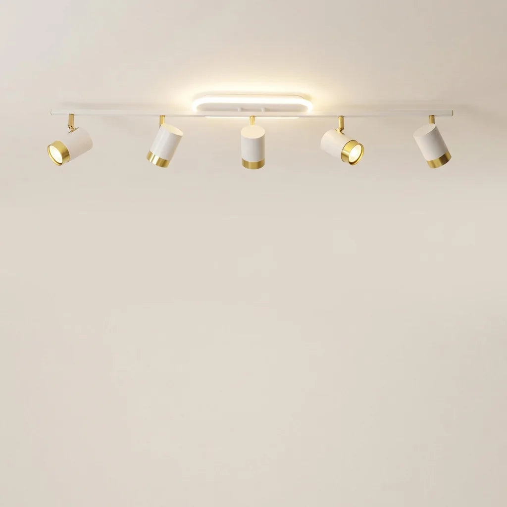 Fehér LED spot sín 5 forgatható spottal, LED gyűrűvel (B típus)